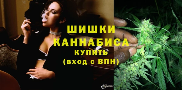 Альфа ПВП Краснослободск