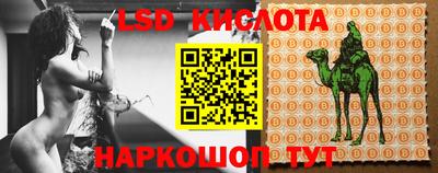 СК Новозыбков