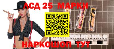 СК Новозыбков