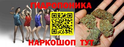 мяу мяу мука Новодвинск