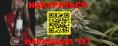 индика Сланцы
