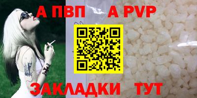 СК Новозыбков