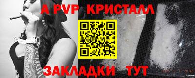 сатива Славгород
