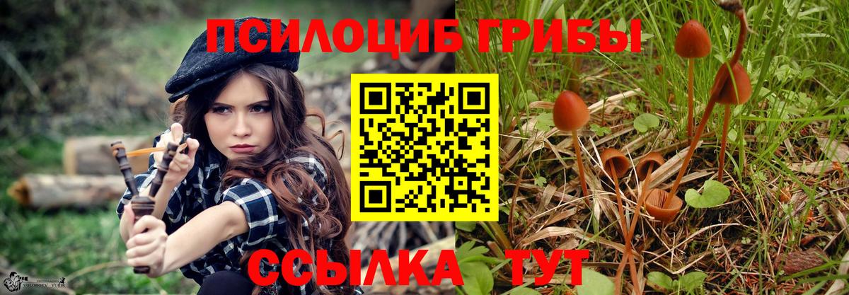 Кодеин Тутаев