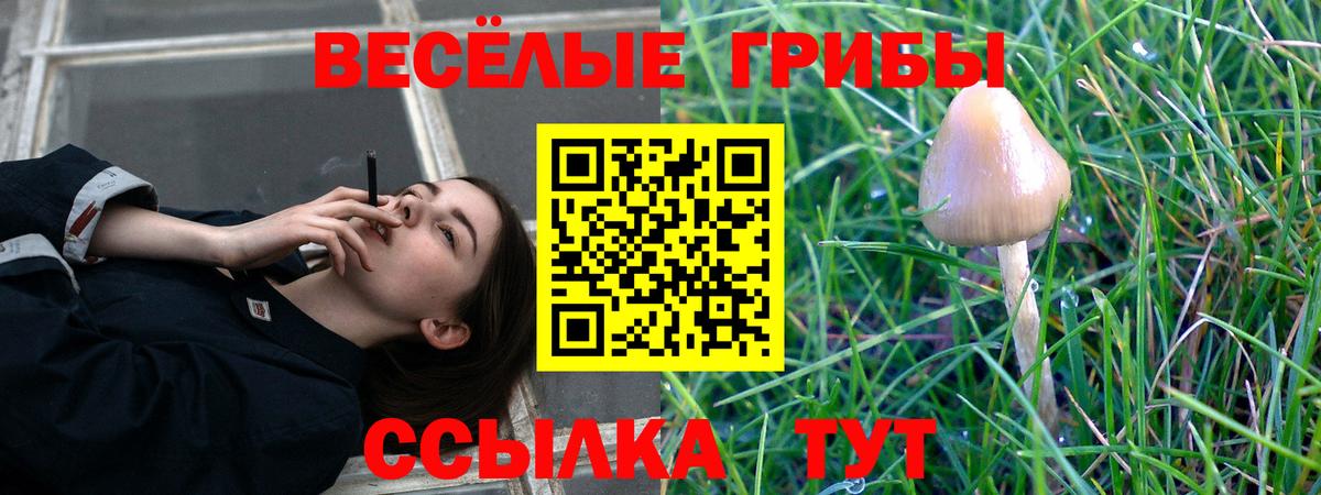 Псилоцибиновые грибы мицелий Тутаев