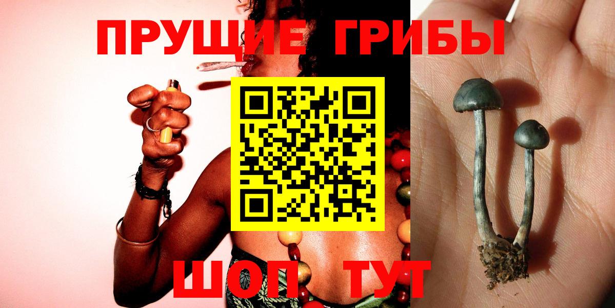 Псилоцибиновые грибы Magic Shrooms  наркотики  Тутаев 